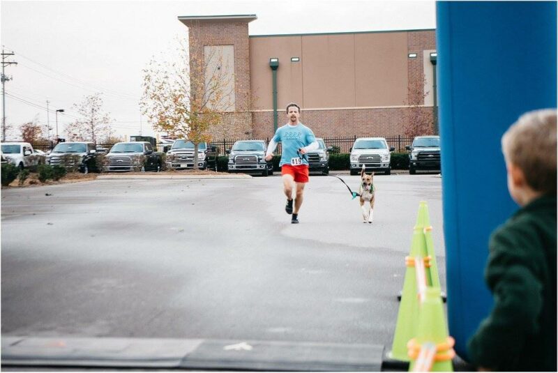 Rescue Run Animal Rescue Corps