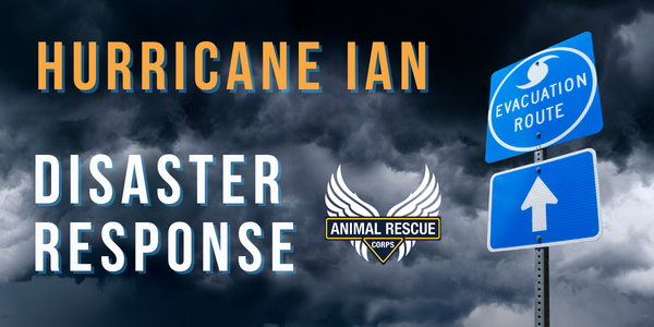 Hurricane Ian Animal Rescue Flight