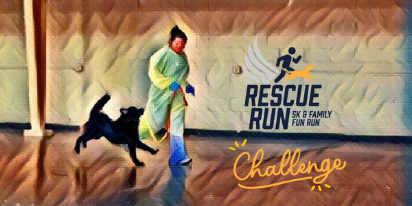 Rescue Run - Animal Rescue Corps