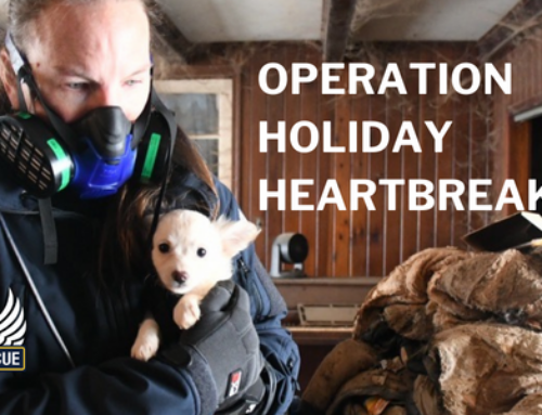Emergency Rescue: Holiday Heartbreak
