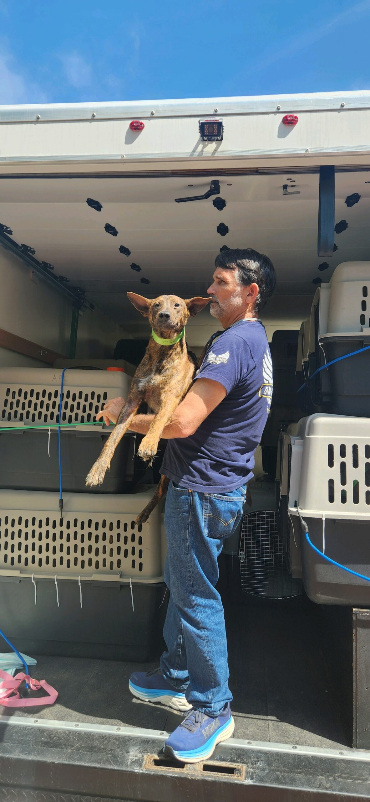 An ARC volunteer standing in the back of an ARC van holds a medium brown dog in his arms during the emergency rescue.