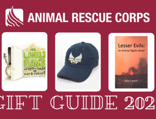 ARC’s 2024 Holiday Gift Guide