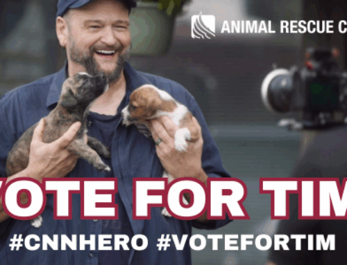 Your votes can help ARC win $100,000!