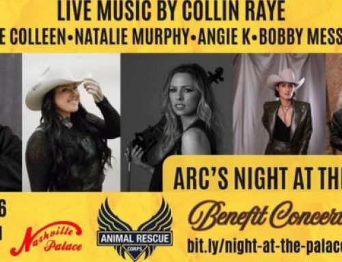 You’re Invited to ARC’s Night at the Palace!