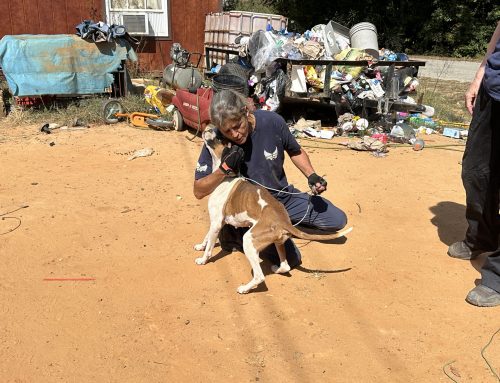 Animal Rescue Corps removes 24 animals in Tennessee cruelty case 